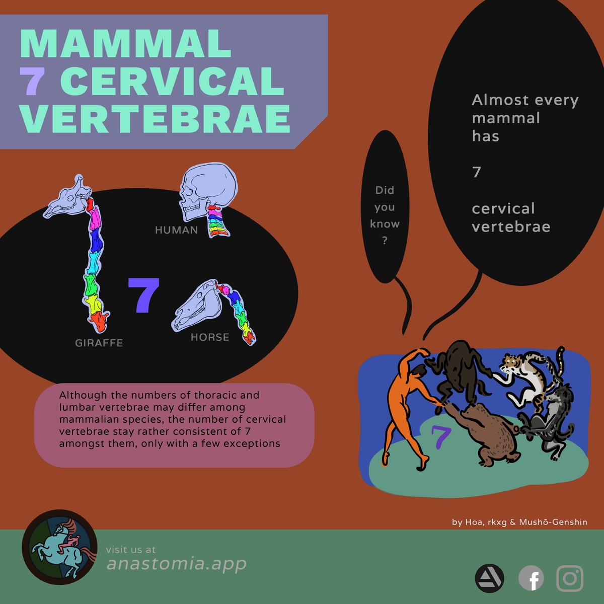 s002-mammal-seven-cervical-vertebrae